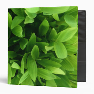 Classeur Feuille vert