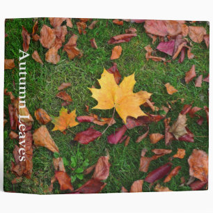 Classeur Feuilles d'automne (2po)