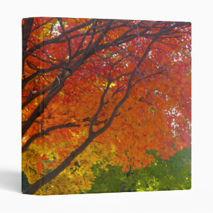 Classeur Feuilles d'automne de la photo jaune et orange