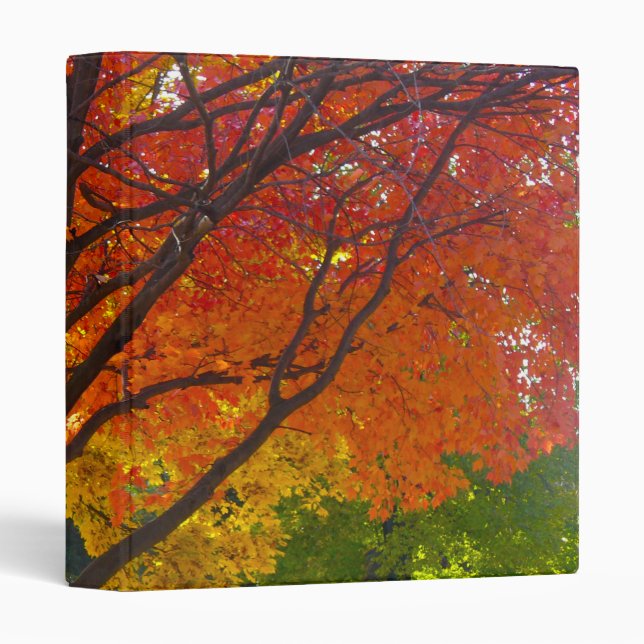 Classeur Feuilles d'automne de la photo jaune et orange (Devant/Côté)