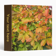 Feuilles de la vigne sauvage d'automne