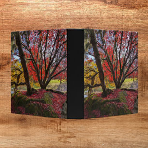 Classeur Feuilles et arbres d'automne colorés Paysage