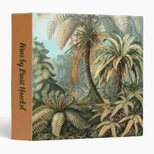 Classeur Filicinae par Ernst Haeckel, Plantes de fougères v