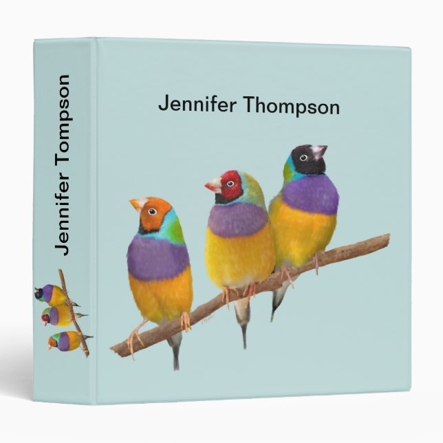 Classeur Finches gouldiennes colorées dans les Pastels (Devant/Côté)