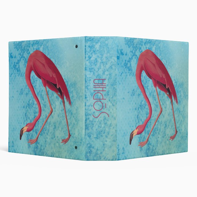 Classeur Flamant rose rose Audubon sur aquarelle bleue (Arrière-plan)