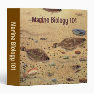 Classeur Flets ou poissons plats, vie marine océanique vint