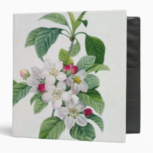 Classeur Fleur, de 'DES de Les Choix plus des belles