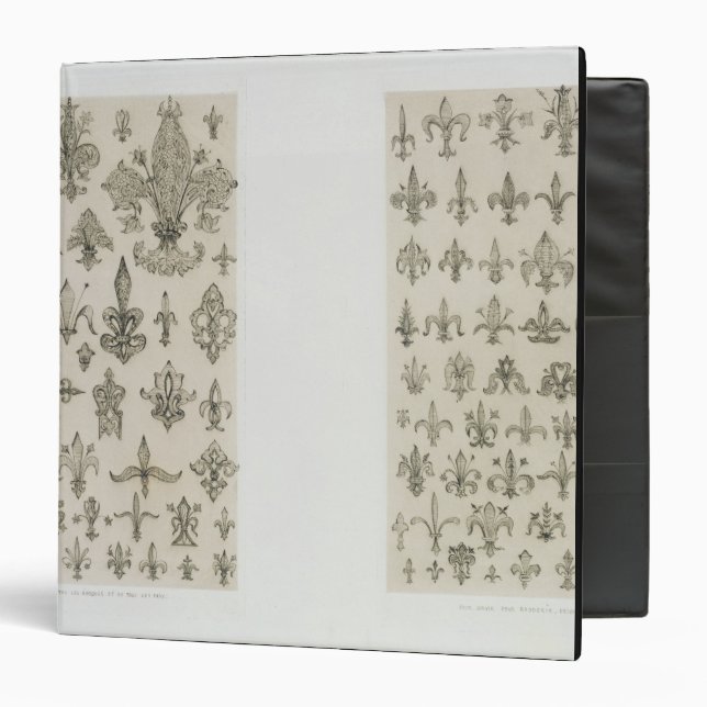 Classeur Fleur de Lys conçoit de chaque âge et de tout l'a (Devant/Intérieur)