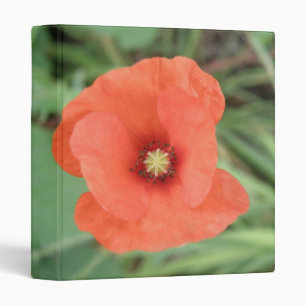 Classeur Fleur de pavot sauvage Album photo