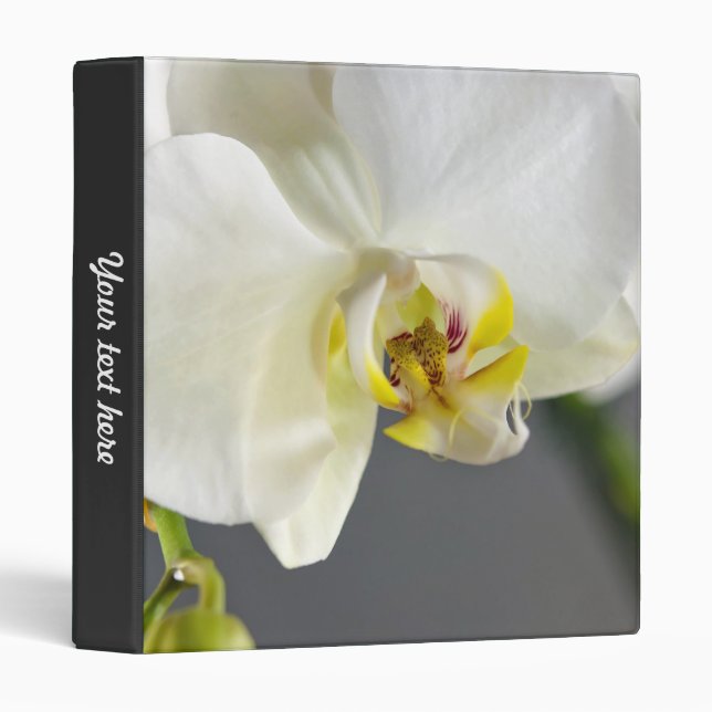Classeur Fleur d'orchidée blanche (Devant/Côté)