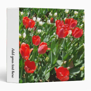Classeur Fleur rouge Tulip Photo