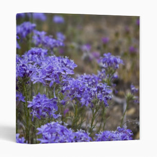 Classeur Fleur sauvage pourpre