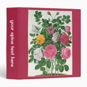 Classeur Fleurs anciennes en fleurs, roses de jardin de pri