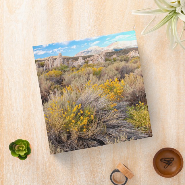 Classeur Fleurs | Blooming Sagebrush Californie (In Situ)