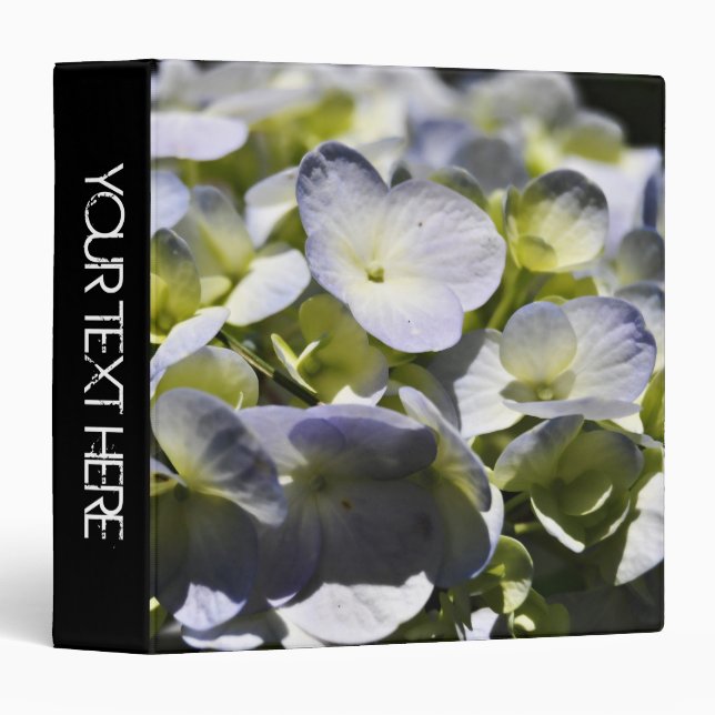 Classeur Fleurs Blue Hydrangeas (Devant/Côté)