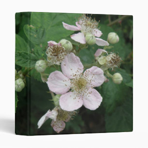 Classeur Fleurs de Blackberry Album photo