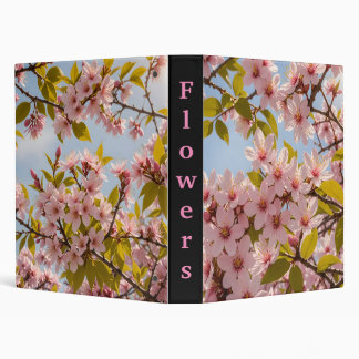 Classeur Fleurs de cerisiers par jour ensoleillé