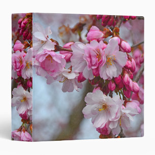 Classeur Fleurs de cerisiers roses