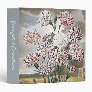 Classeur Fleurs de Œillet Panaché Vintage avec Ciel Gris