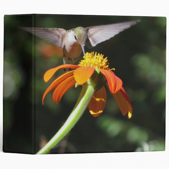 Classeur Fleurs de papillon de monarque d'oiseau de colibri (Devant/Côté)