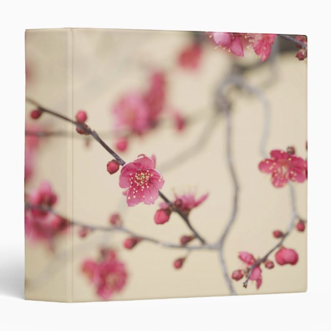 Classeur Fleurs de prune (Devant/Côté)