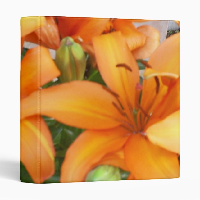 Classeur Fleurs oranges de lis (Devant/Côté)