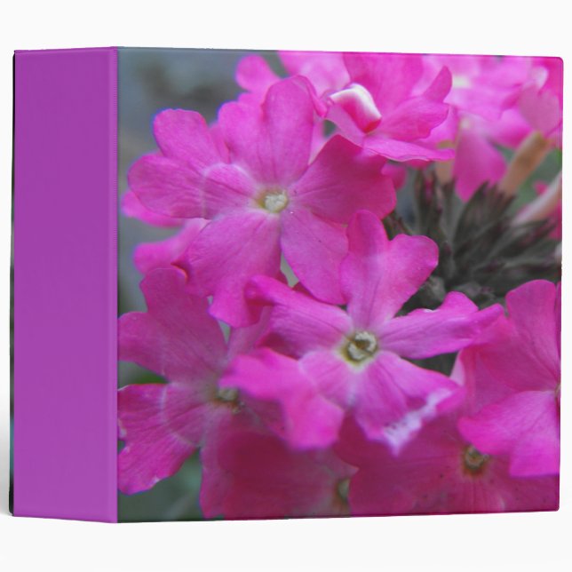 Classeur fleurs roses (Devant/Côté)
