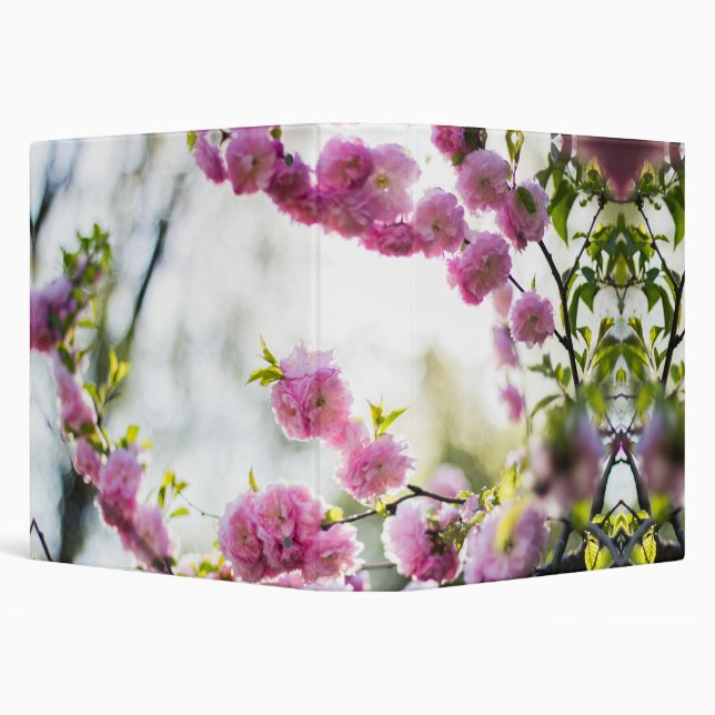 Classeur fleurs roses agréables (Arrière-plan)