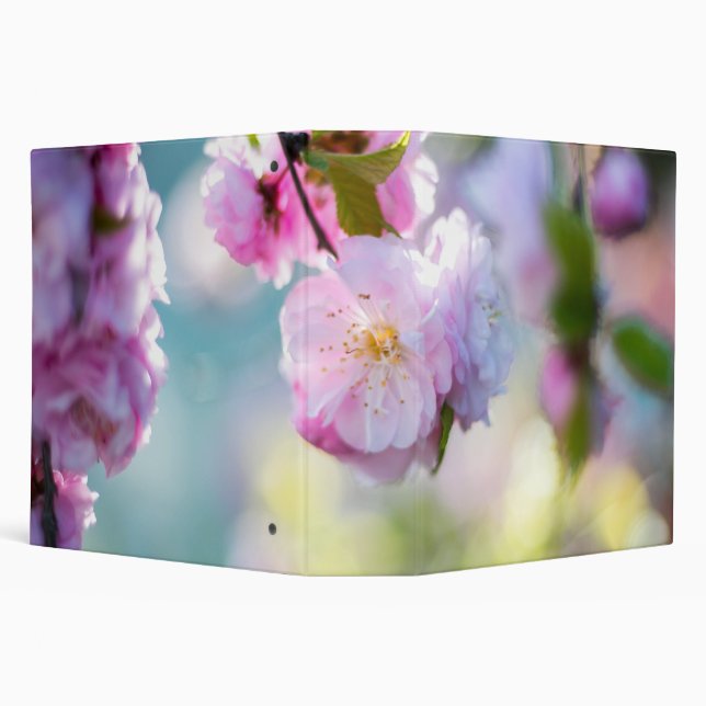 Classeur fleurs roses fermées (Arrière-plan)