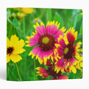 Classeur Fleurs sauvages de la prairie dans Hill Country