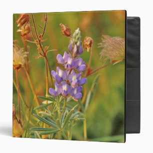 Classeur Fleurs sauvages de Lupin et de Prairie Smoke dans