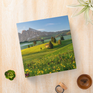 Classeur Fleurs Spring Alpe di Siusi Langkofel