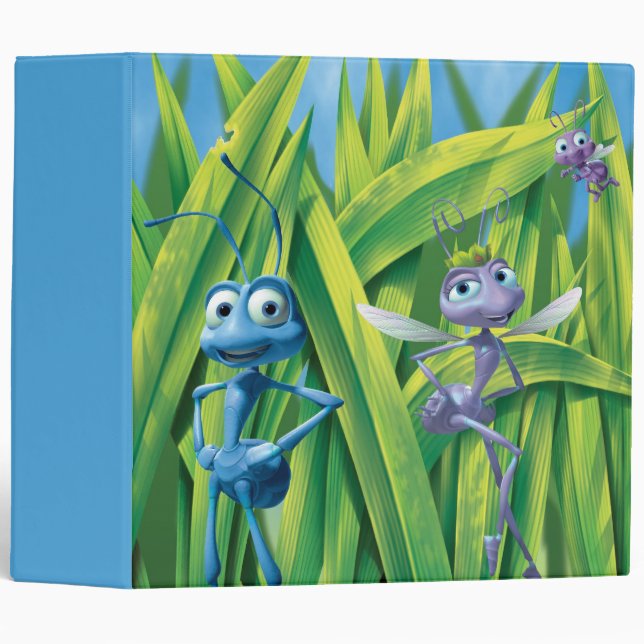 Classeur Flik, Dot et Princess Atta (Devant/Côté)