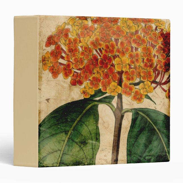 Classeur Floral I (Devant/Côté)