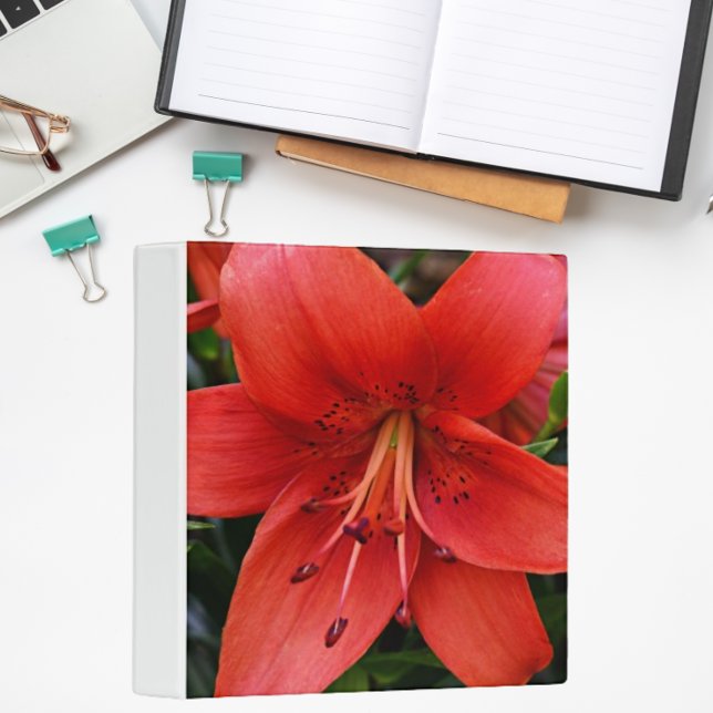 Classeur Floral Orange Lily (In Situ Office)