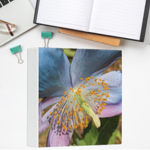 Classeur Flore de fleurs de crapaud bleu