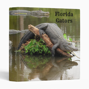 Classeur Floride Alligators - Gators - Faune -