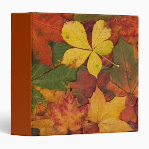 Classeur Folithe d'automne