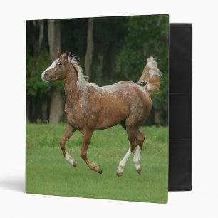 Classeur Fonctionnement de cheval d'Appaloosa