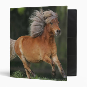 Classeur Fonctionnement miniature de cheval