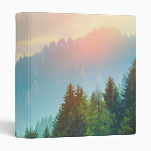 Classeur Forêt de pin dans les dolomites, Italie