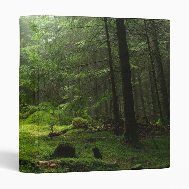 Classeur Forêt de Sterious (Devant/Côté)