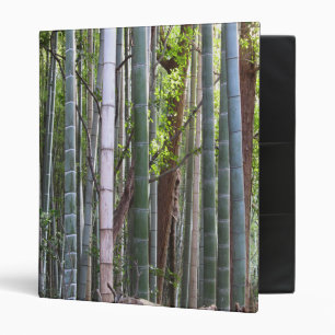 Classeur Forêt géante japonaise de bambou, Sagano, Kyoto, J