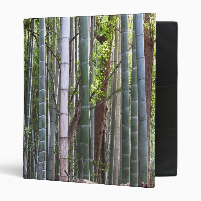Classeur Forêt géante japonaise de bambou, Sagano, Kyoto, J (Devant/intérieur)