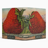 Fraises Géant Antique Fruit Amusant