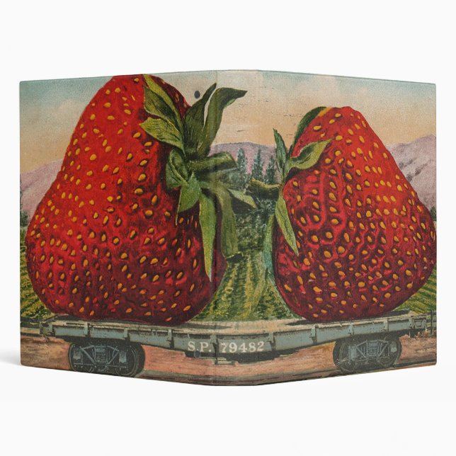 Classeur Fraises Géant Antique Fruit Amusement (Arrière-plan)