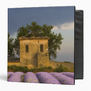 Classeur France, Provence. Champ de lavande et