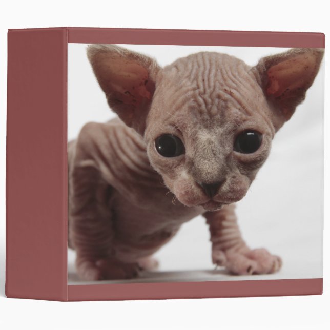 Classeur Freaky Cute Furless (Devant/Côté)