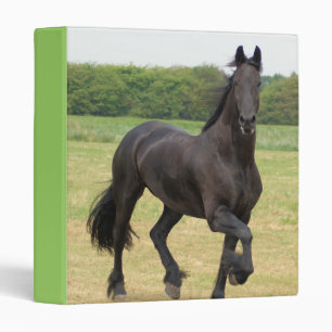 Classeur frison de cheval
