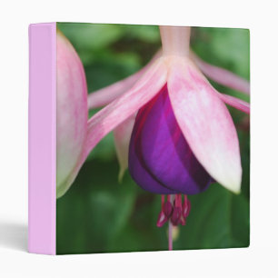 Classeur fuchsia rose et pourpre